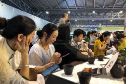 2024第二十三届上海国际茶业交易博览会