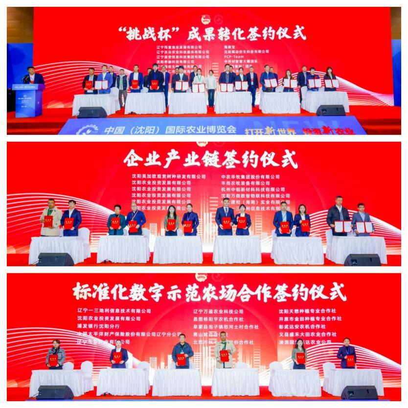 图片11.png